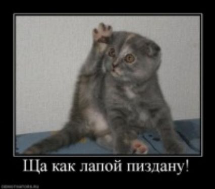 Ща как лапой пиздану!