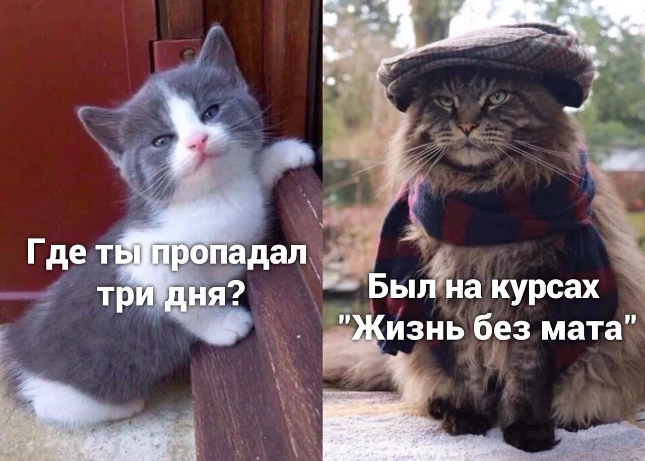 Где ты пропадал три дня? Был на курсах 