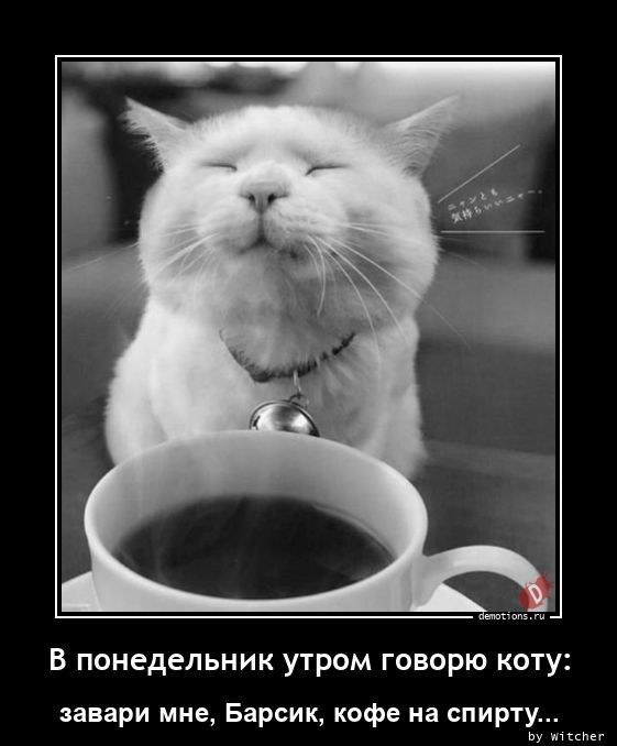 В понедельник утром говорю коту: завари мне, Барсик, кофе на спирту...