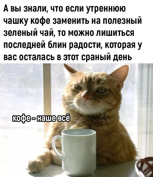 А вы знали, что если утреннюю чашку кофе заменить на полезный зеленый чай, то можно лишиться последней блин радости, которая у вас осталась в этот сраный день
кофе - наше всё