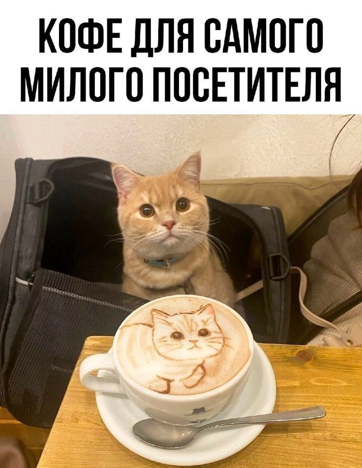 Кофе для самого милого посетителя