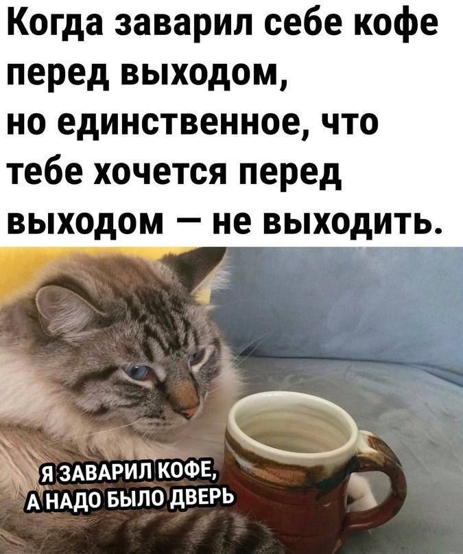 Когда заварил себе кофе перед выходом, но единственное, что тебе хочется перед выходом — не выходить.

Я заварил кофе, а надо было дверь.