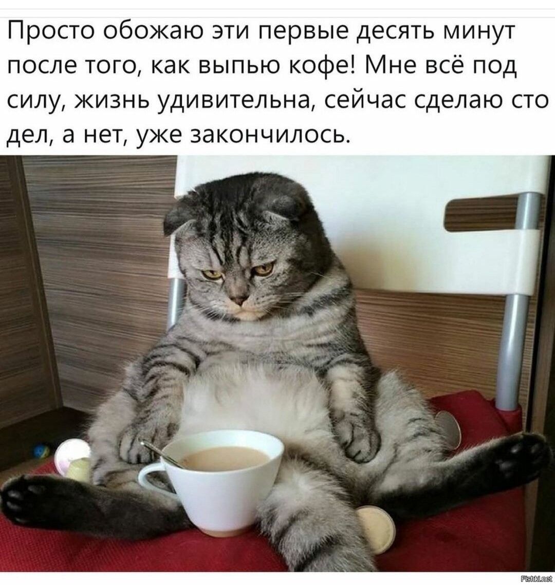 Просто обожаю эти первые десять минут после того, как выпью кофе! Мне всё под силу, жизнь удивительна, сейчас сделаю сто дел, а нет, уже закончилось.