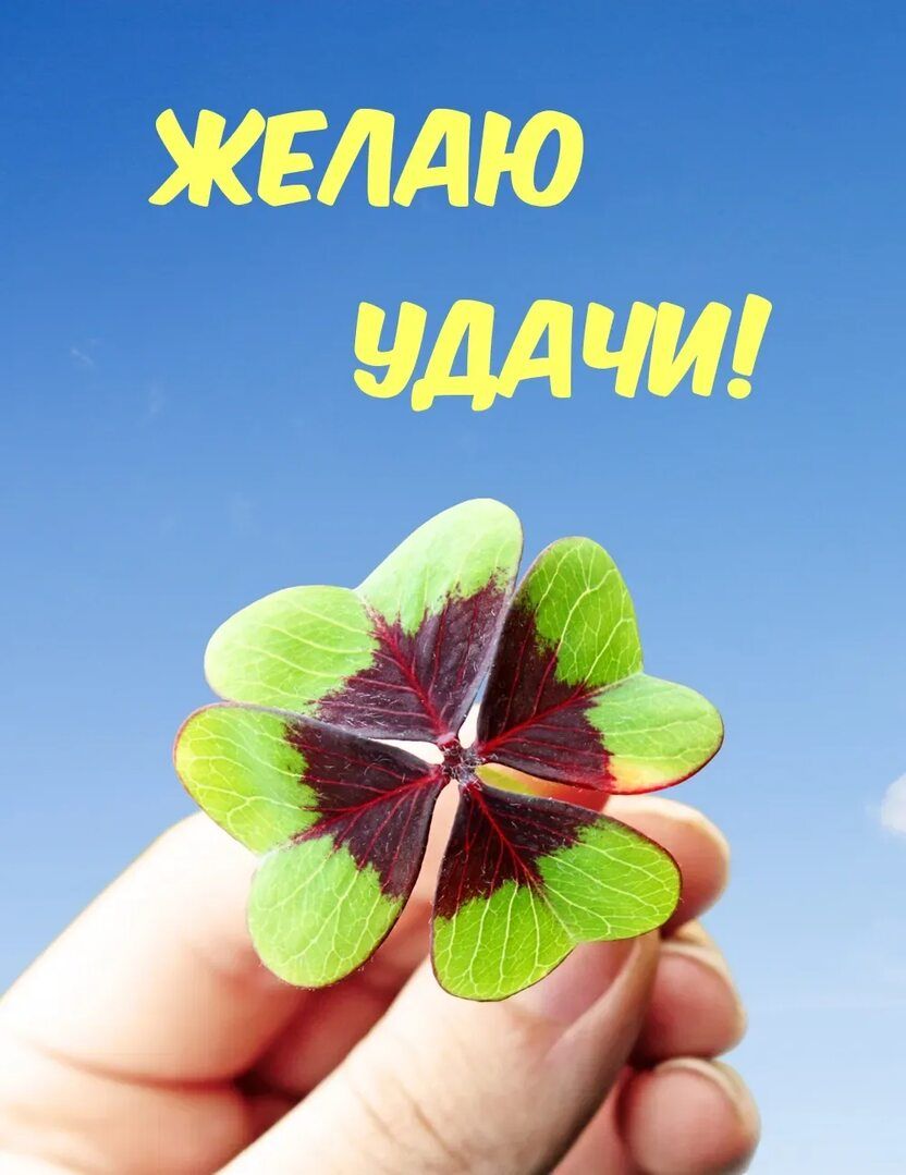 ЖЕЛАЮ УДАЧИ!