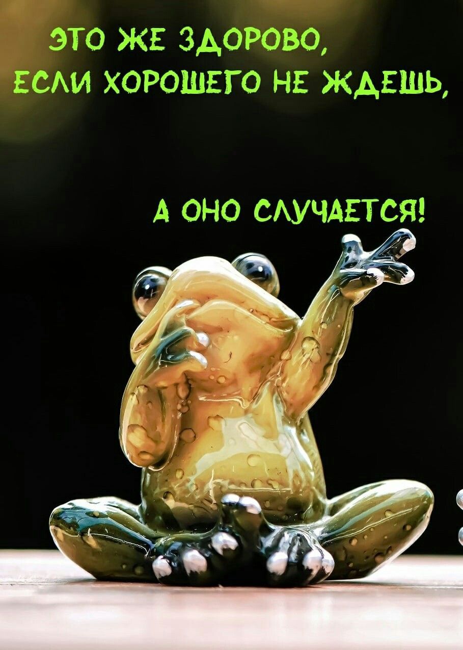 ЭТО ЖЕ ЗДОРОВО, ЕСЛИ ХОРОШЕГО НЕ ЖДЕШЬ, А ОНО СЛУЧАЕТСЯ!