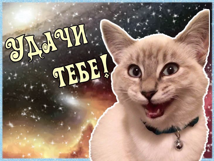 УДАЧИ ТЕБЕ!