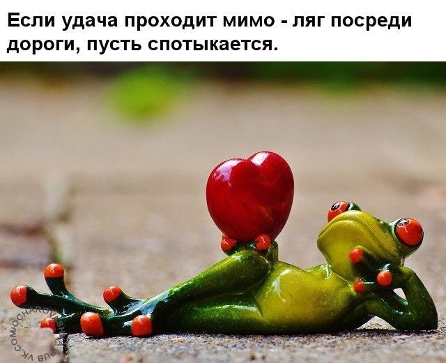 Если удача проходит мимо - ляг посреди дороги, пусть спотыкается.