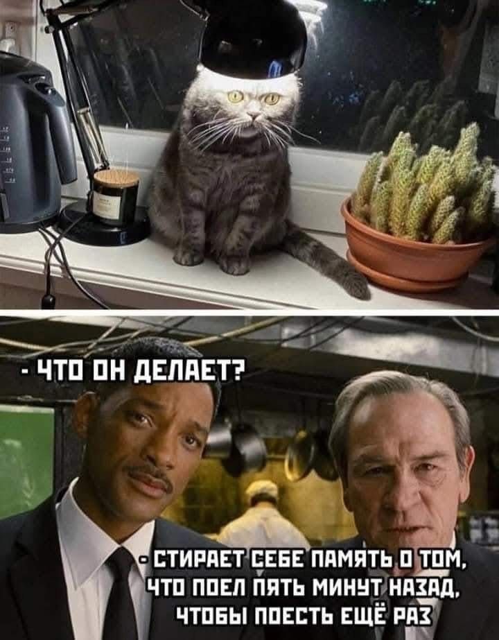 - Что он делает?
- Стирает себе память о том, что поел пять минут назад, чтобы поесть ещё раз