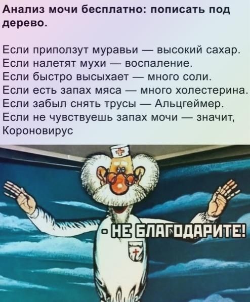 Анализ мочи бесплатно: пописать под деревом.

Если приползут муравьи — высокий сахар.
Если налетят мухи — воспаление.
Если быстро высыhedает — много соли.
Если есть запах мяса — много холестерина.
Если забыл снять трусы — Альцгеймер.
Если не чувствуешь запах мочи — значит, Коронавирус.

- НЕ БЛАГОДАРИТЕ!