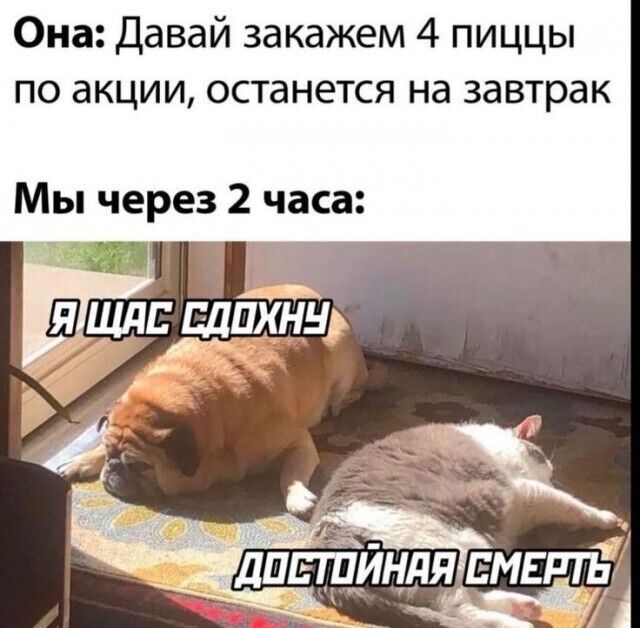 Она: Давай закажем 4 пиццы по акции, останется на завтрак
Мы через 2 часа:
Я щас сдохну
Достойная смерть