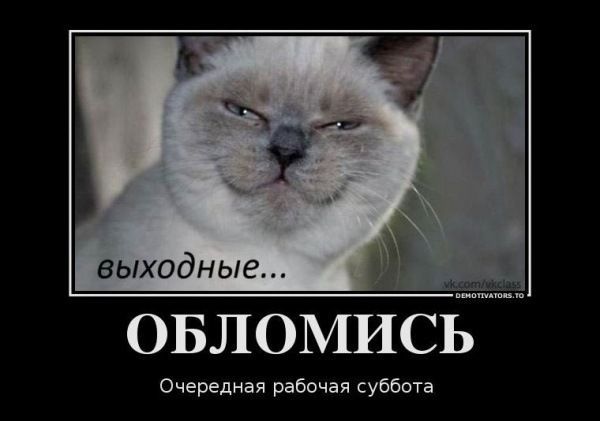 выходные...
ОБЛОМИСЬ
Очередная рабочая суббота
