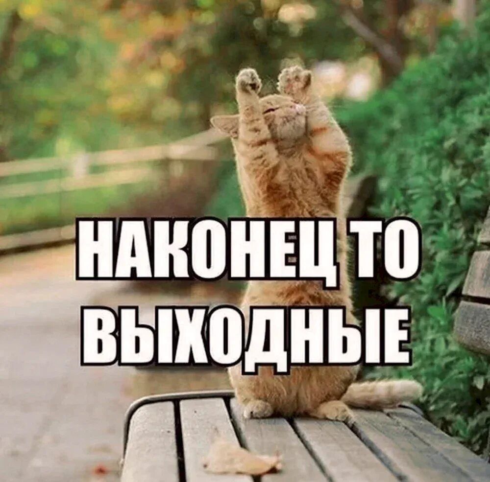 НАБОНЕЦ ТО ВЫХОДНЫЕ
