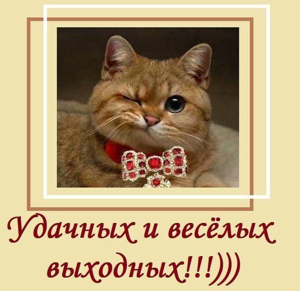Удачных и весёлых выходных!!!)))