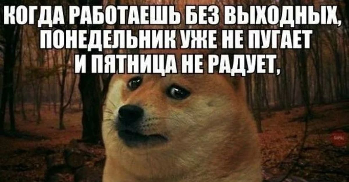 Когда работаешь без выходных, понедельник уже не пугает и пятница не радует,