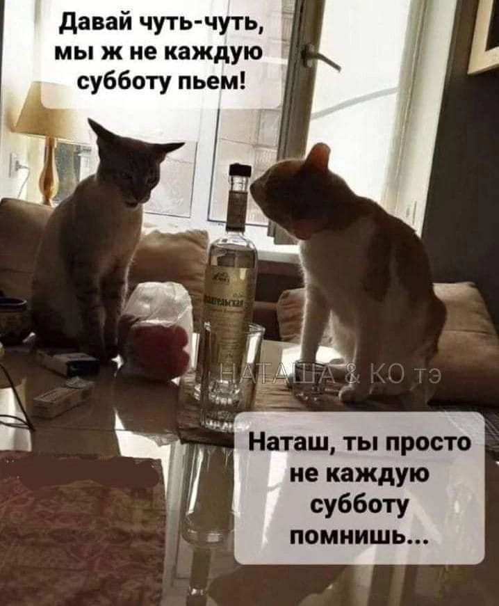 Давай чуть-чуть, мы ж не каждую субботу пьем! Наташ, ты просто не каждую субботу помнишь...