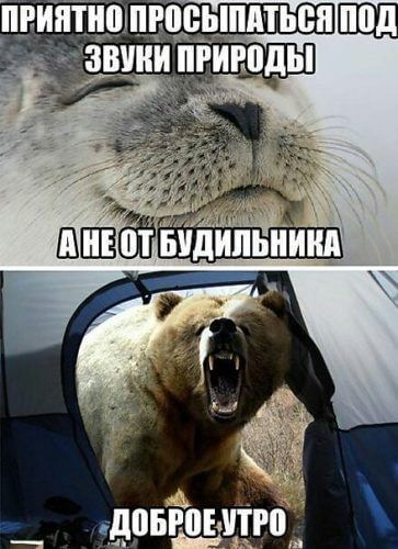 ПРИЯТНО ПРОСЫПАТЬСЯ ПОД ЗВУКИ ПРИРОДЫ А НЕ ОТ БУДИЛЬНИКА ДОБРОЕ УТРО