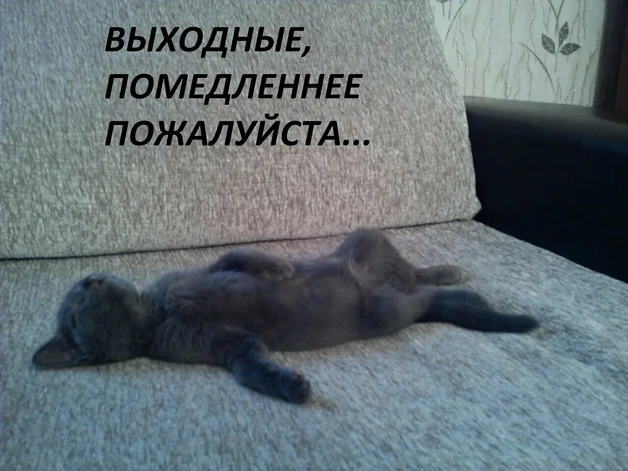ВЫХОДНЫЕ, ПОМЕДЛЕННЕЕ ПОЖАЛУЙСТА...