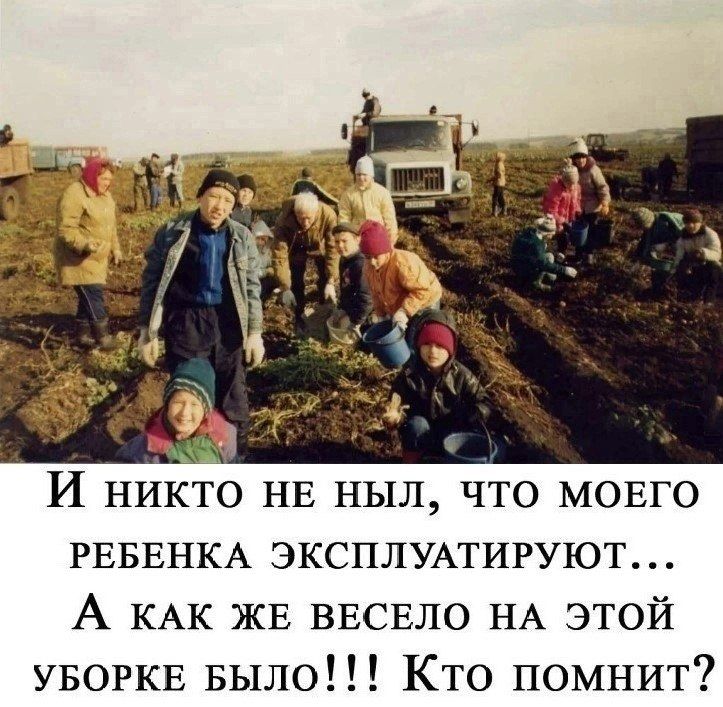 И никто не ныл, что моего ребенка эксплуатируют... А как же весело на этой уборке было!!! Кто помнит?