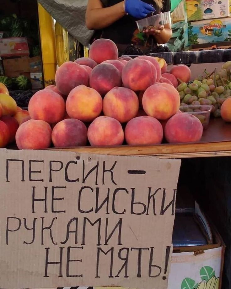 ПЕРСИК – НЕ СИСЬКИ РУКАМИ НЕ МЯТЬ!