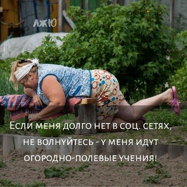 Если меня долго нет в соц. сетях, не волнуйтесь - у меня идут огородно-полевые учения!