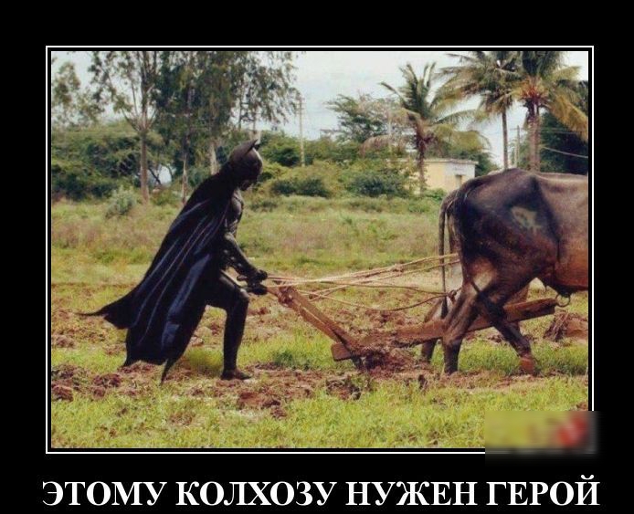 ЭТОМУ КОЛХОЗУ НУЖЕН ГЕРОЙ