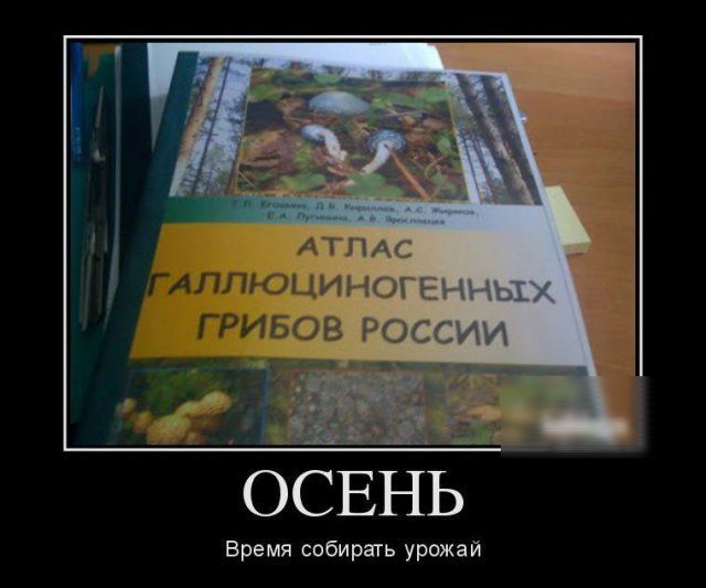 ОСЕНЬ
Время собирать урожай