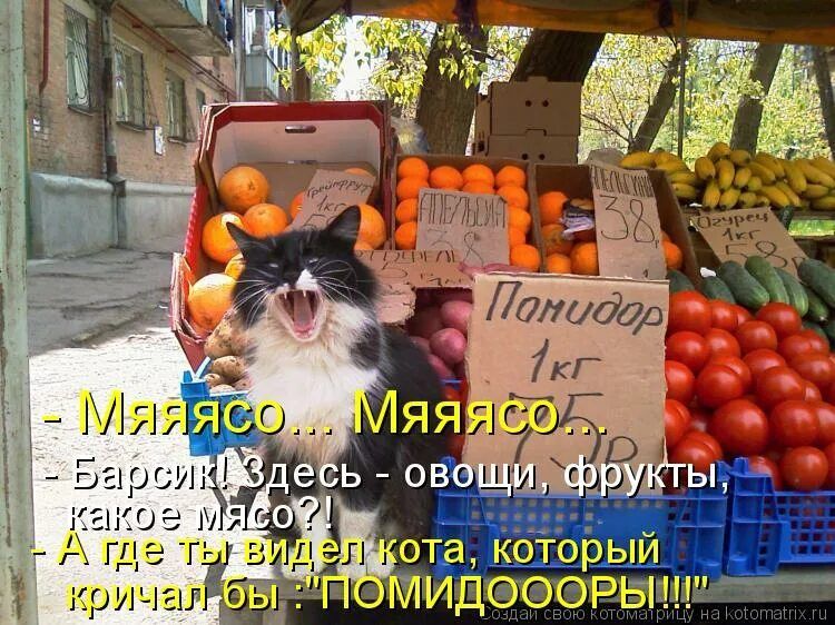 - Мяяясо... Мяяясо...
- Барсик! Здесь - овощи, фрукты, какое мясо?
- А где ты видел кота, который кричал бы: 