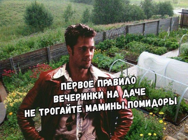 ПЕРВОЕ ПРАВИЛО ВЕЧЕРИНКИ НА ДАЧЕ НЕ ТРОГАЙТЕ МАМИНЫ ПОМИДОРЫ