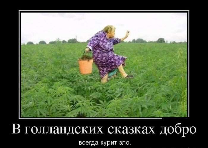 В голландских сказках добро всегда курит зло.