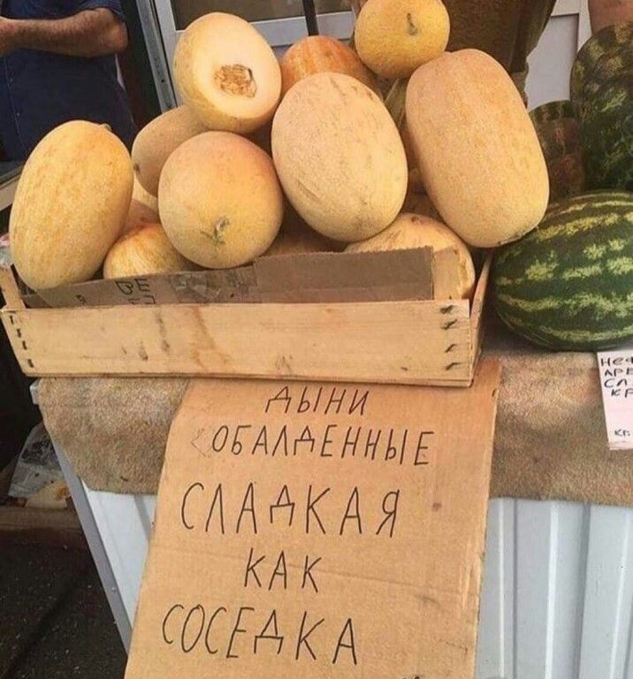 Дыни обалденные сладкая как соседка