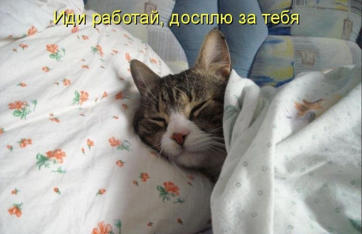 Иди работай, досыплю за тебя
