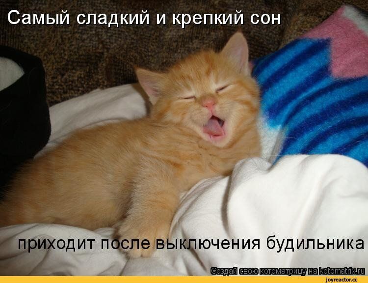 Самый сладкий и крепкий сон
приходит после выключения будильника