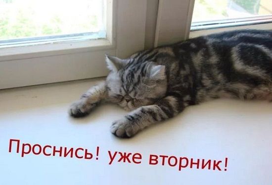 Проснись! уже вторник!