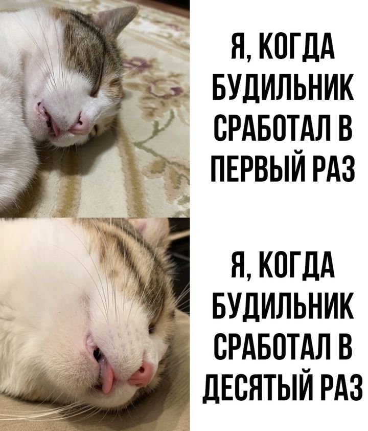 Я, когда будильник сработал в первый раз

Я, когда будильник сработал в десятый раз