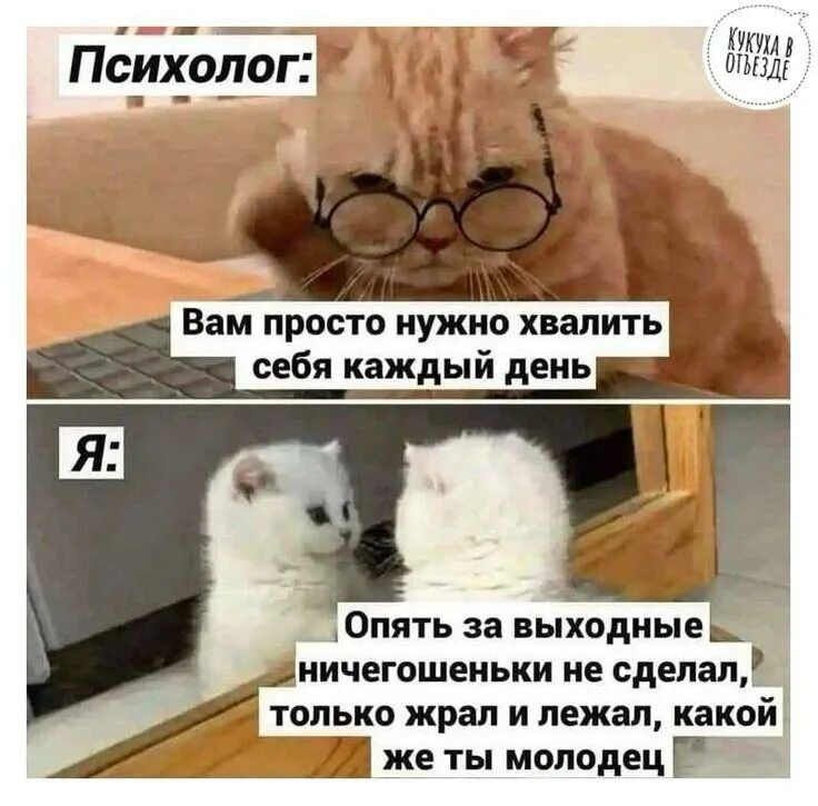 Психолог: Вам просто нужно хвалить себя каждый день
Я: Опять за выходные ничегошеньки не сделал, только жрал и лежал, какой же ты молодец