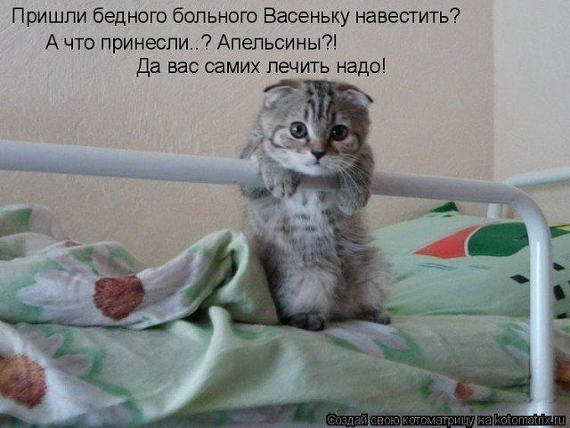 Пришли бедного больного Васеньку навестить? А что принесли.? Апельсины?! Да вас самих лечить надо!