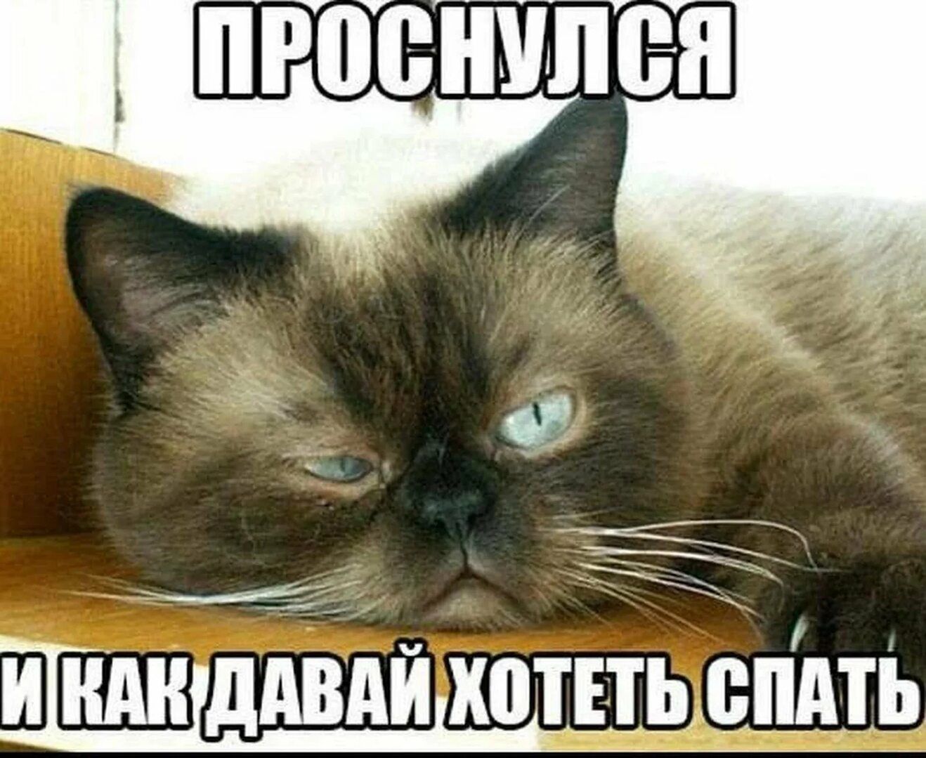 ПРОСНУЛСЯ И КАК ДАВАЙ ХОТЕТЬ СПАТЬ