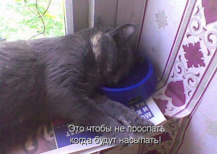 Это чтобы не проспать, когда будут насыпать!