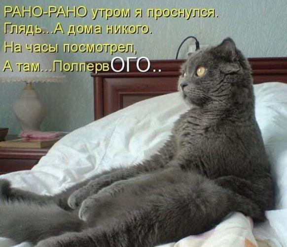 РАНО-РАНО утром я проснулся. Глянь... А дома никого. На часы посмотрел, А там... Полперв оГО..