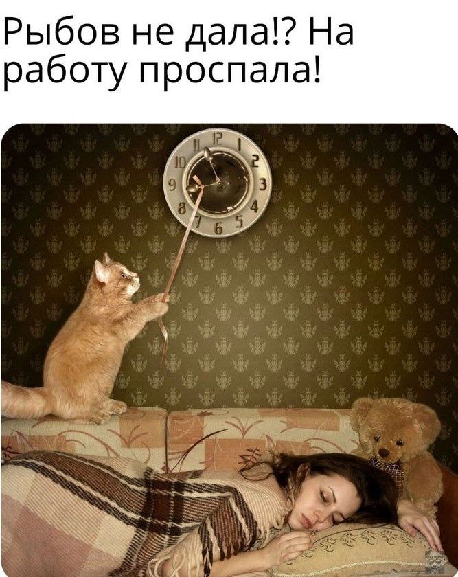 Рыбов не дала!? На работу проспала!