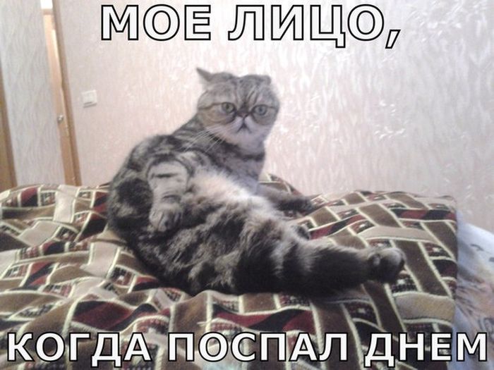 МОЕ ЛИЦО, КОГДА ПОСПАЛ ДНЕМ