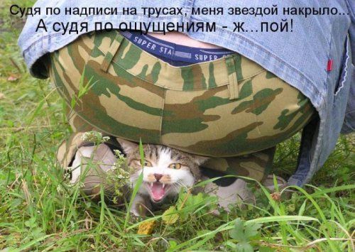 Судя по надписи на трусах, меня звездой накрыло... А судя по ощущениям - ж...пой!