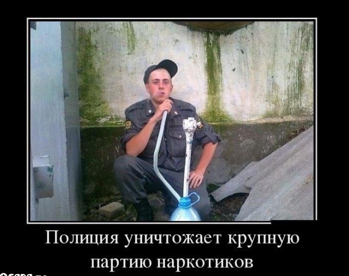 Полиция уничтожает крупную партию наркотиков