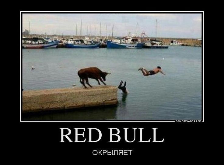 RED BULL ОКРЫЛЯЕТ