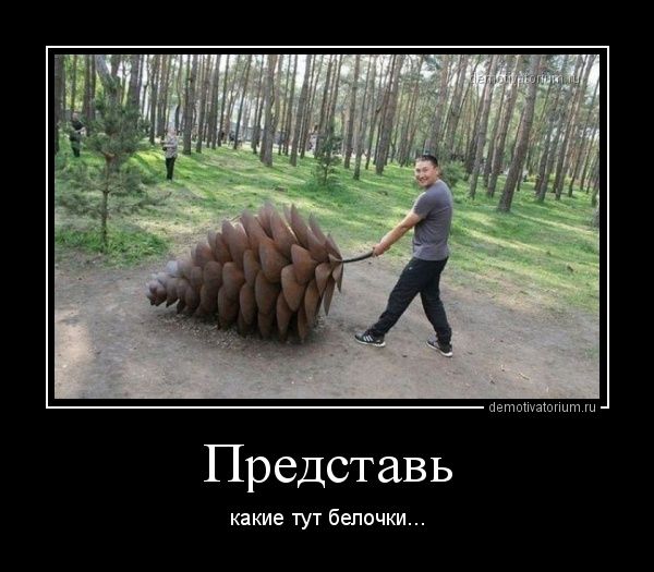 Представь какие тут белочки...