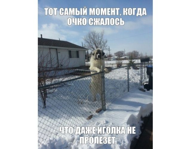 ТОТ САМЫЙ МОМЕНТ, КОГДА ОЧКО СЖАЛОСЬ ЧТО ДАЖЕ ИГОЛКА НЕ ПРОЛЕЗЕТ