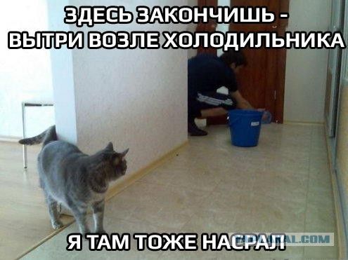 ЗДЕСЬ ЗАКОНЧИШЬ - ВЫТРИ ВОЗЛЕ ХОЛОДИЛЬНИКА Я ТАМ ТОЖЕ НАСРАЛ