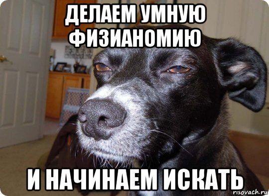 ДЕЛАЕМ УМНУЮ ФИЗИАНОМИЮ И НАЧИНАЕМ ИСКАТЬ