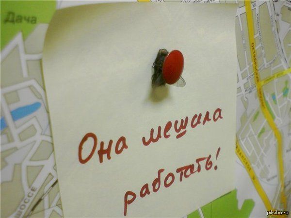 Она мешала работать!