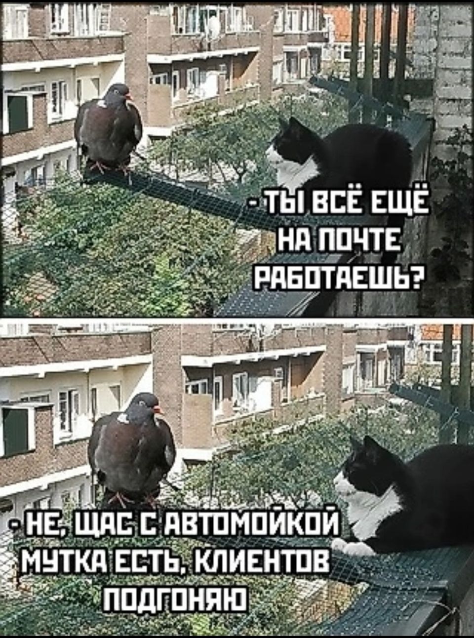 Ты всё ещё на почте работаешь? — Не, щас с автоматой мутка есть, клиентов подгоняю.